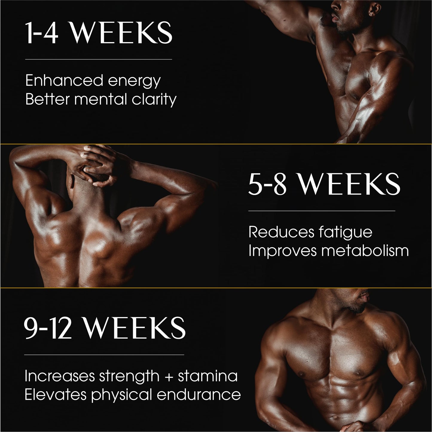 UNTANAS Altai Shilajit Drops - 120 Drops, 400mg Serving - Pure Shilajit Resin - Shilajit Tablets W/85+ Trace Minerals, Fulvic Acid