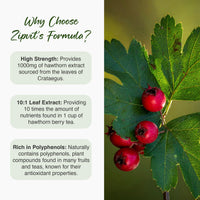 Zipvit Hawthorn Berry Leaf Tablets 1000mg, 90 Vegan Hawthorn Tablets 3 Month Supply