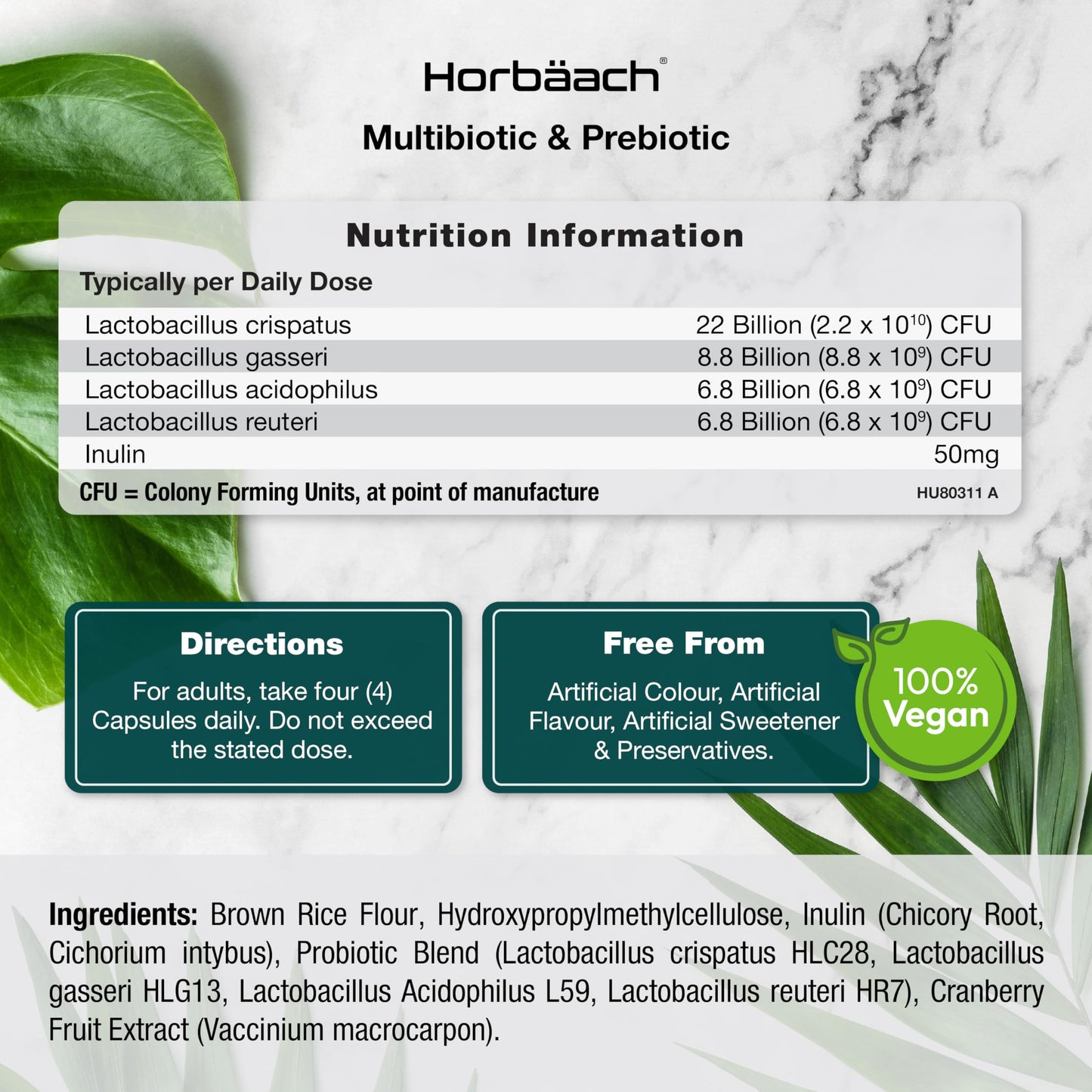 Horbäach Probiotics & Prebiotics 44 Billion CFU | Bio Cultures Complex Multi-Strain Formula with Inulin | 60 Vegan Capsules | by Horbaach