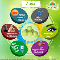 Aushadh Amla Fruit (Gooseberry) Powder