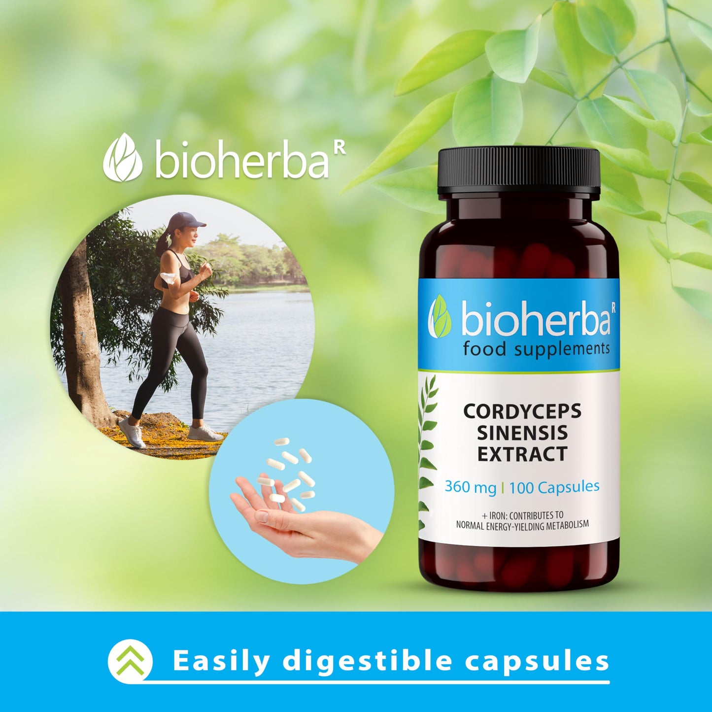 Cordyceps Mushroom Extract 360 mg 300 Capsules for Energy and Immune Support by BIOHERBA