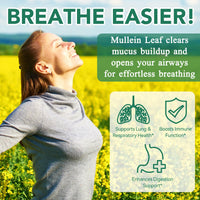 XAYGHE Mullein Gummies 2000mg for Lungs -Mullein Leaf Extract for Lungs Cleanse & Detox, Respiratory Health Gummies, Digestive Support, Immune Booster 60 Count