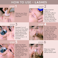 Mylee Express Lash & Brow Kit – 2 in 1 No Mix Formula, Tint + Developer Gel + Double Sided Brush, Professional Eyelash & Eyebrow Dye Tinting, Long Lasting, Semi-Permanent, Fast & Easy (Black)