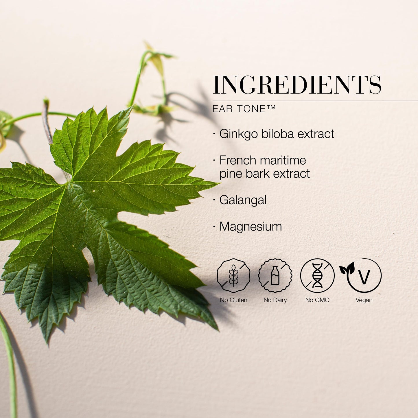 New Nordic Ltd New Nordic Ear Tone Hearing Support, Ginkgo Biloba Pine Bark Magnesium 30ct