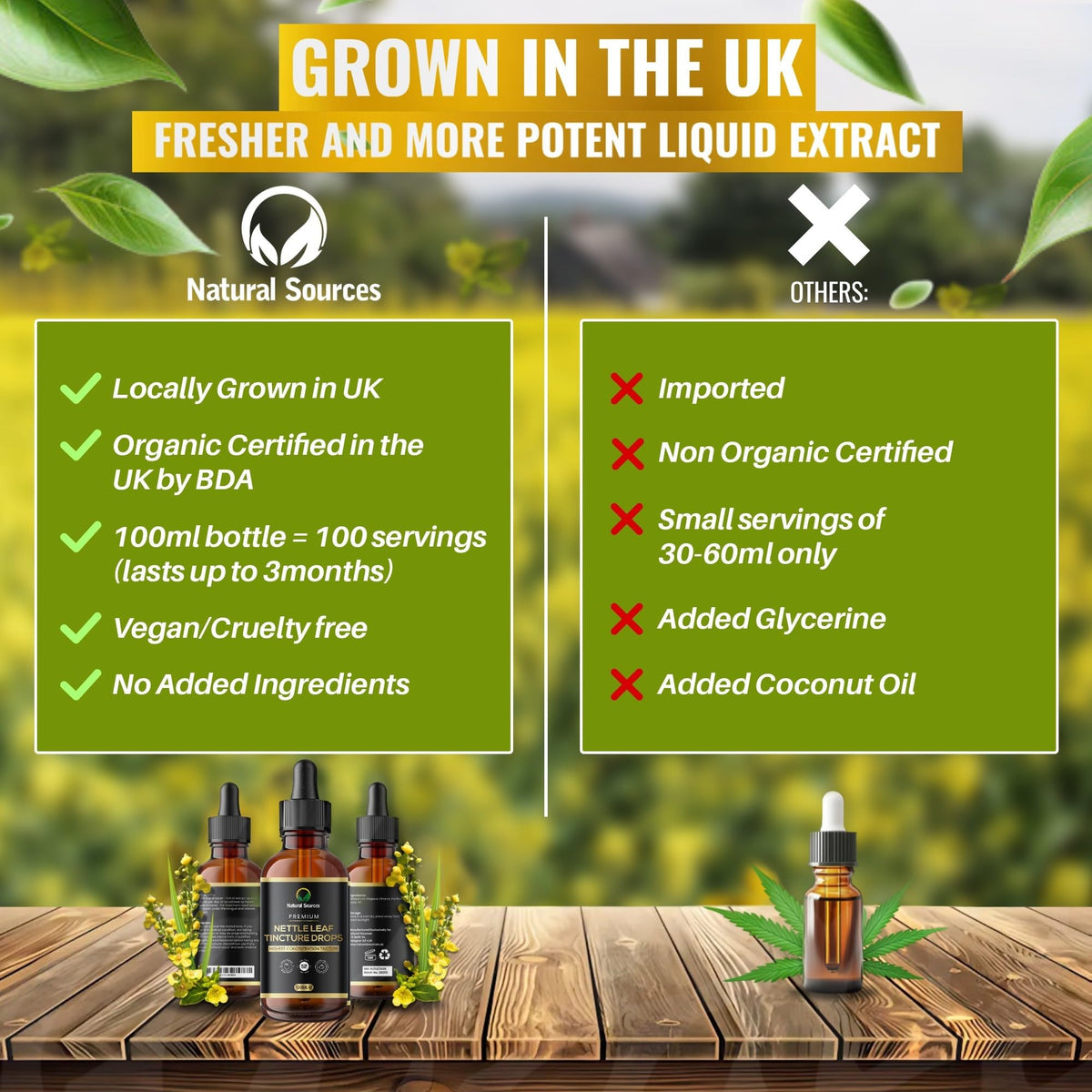 Natural Sources Nettle Leaf Tincture Drops - Fresh Plant Extract organically harvested 100 Servings - Nettle Supplement 100% Nettle Extract - Highest Concentrate - UK Produced - GMDP Certified/Vegan/Non GMO