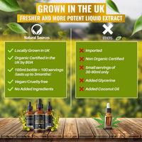 Natural Sources Nettle Leaf Tincture Drops - Fresh Plant Extract organically harvested 100 Servings - Nettle Supplement 100% Nettle Extract - Highest Concentrate - UK Produced - GMDP Certified/Vegan/Non GMO