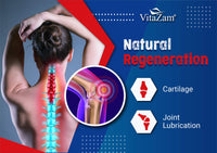 VitaZam Glucosamine and Chondroitin High Strength Platinum Joint Flex 500 ml Liquid MSM, Chondroitin Sulphates with Strong Osteoarthritis Formulation for Bones and Joint Health, Berry Flavour