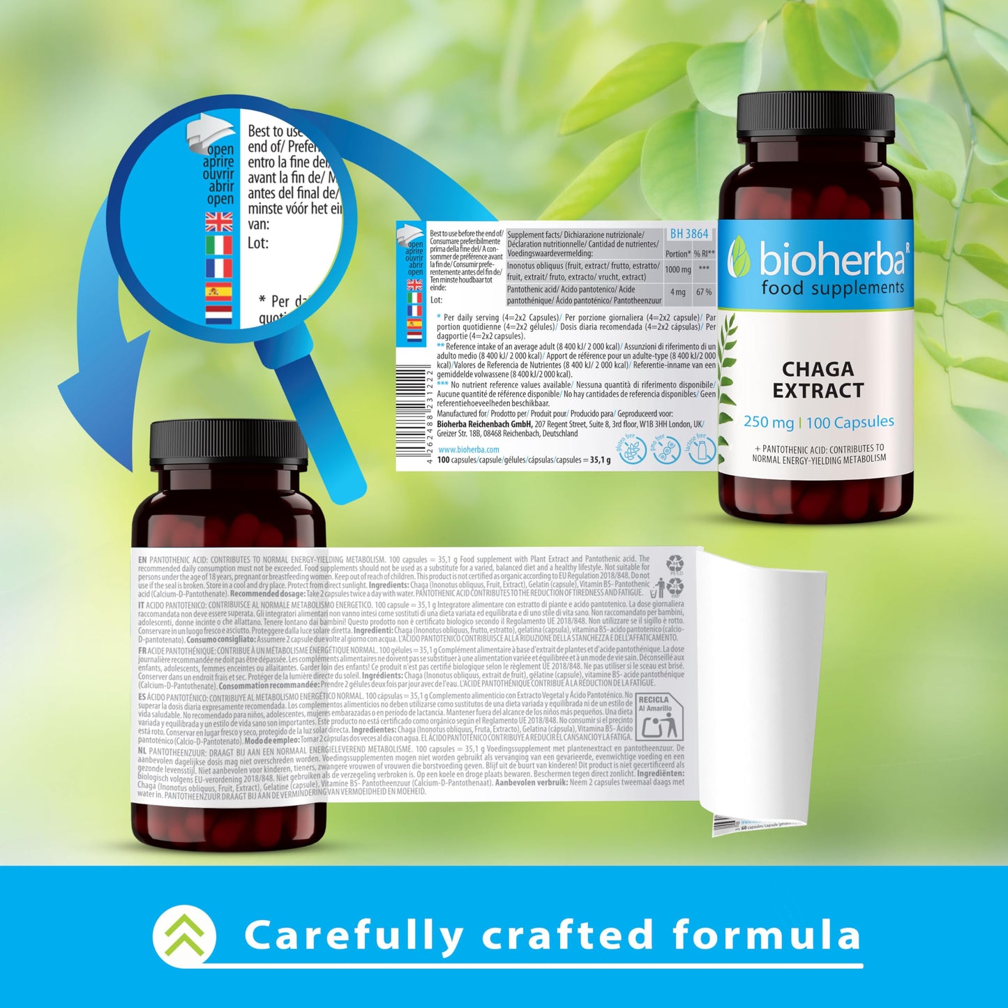 Chaga Mushroom Extract - 250 mg - 100 Capsules - Immune Support Brain Focus and Skin Health Supplement - Pure Chaga with Vitamin B5 for Daily Wellness by BIOHERBA