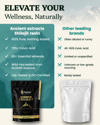 Ancient Extracts Shilajit Powder | Gold Grade – 75% Fulvic Acid | Energy, Focus, Recovery & Hormone Support | 85+ Trace Minerals | Tested for Purity & Safety | Sourced in the Kashmir Himalayas (50g)