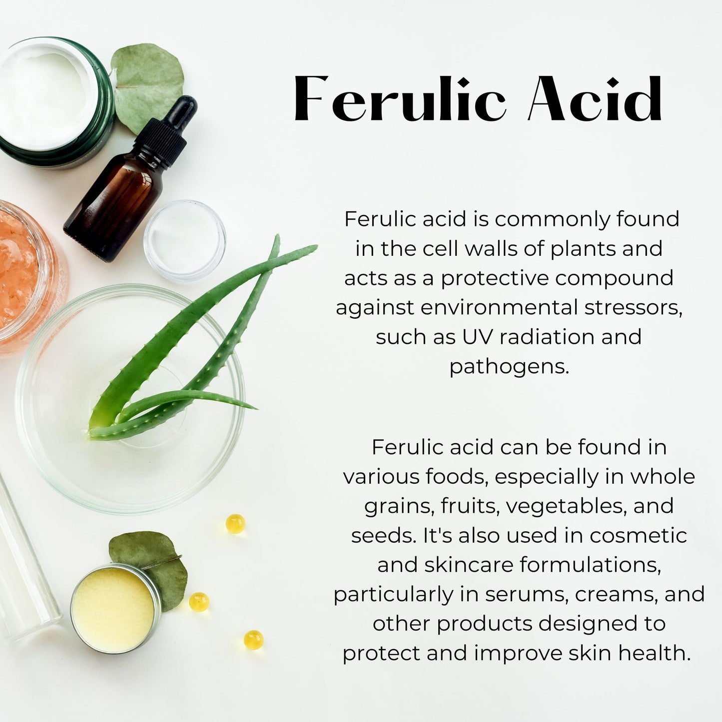 Ferulic Acid Poweder - Antioxidant for Creams, Serums and DYI Skin care products (20 grams)