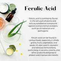Ferulic Acid Poweder - Antioxidant for Creams, Serums and DYI Skin care products (20 grams)