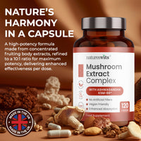 NaturesVits 6 Mushroom Supplement with Ashwagandha, 120 Capsules - Lions Mane, Cordyceps, Shiitake, Reishi, Chaga and Maitake - Complex Mood, Focus and Brain Support Herbal Nootropic - 40% Polysaccharides