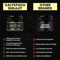 CALYSTOCO TM Shilajit Resin – 30g Pure Himalayan Shilajit with Fulvic Acid, Humic Acid, Magnesium, Calcium & Potassium – Natural Energy, Detox & Vitality Booster