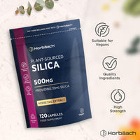 Horbäach Silica Supplement 500mg | High Strength Silica from Horsetail Extract | 120 Powder Capsules | Vegan | 4 Month Supply | by Horbaach