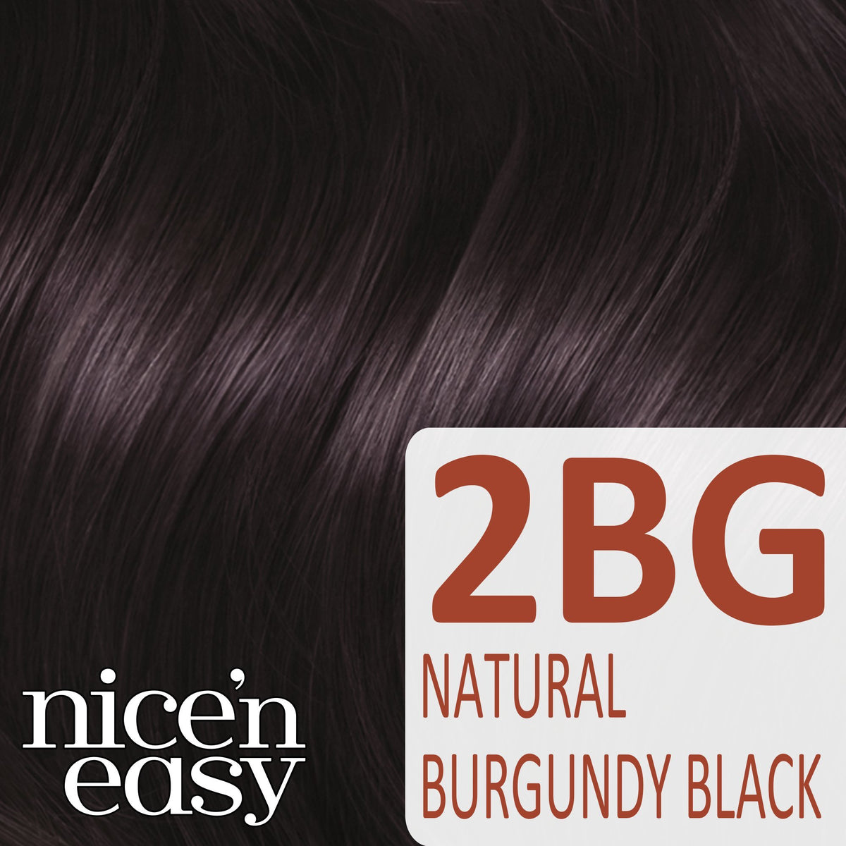 Clairol Nice'n Easy Permanent Hair Dye 126/2BG Burgundy Black