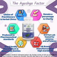 Ayushya Cissus Quadrangularis (Hadjod) Capsule, 60 Capsules, Natural