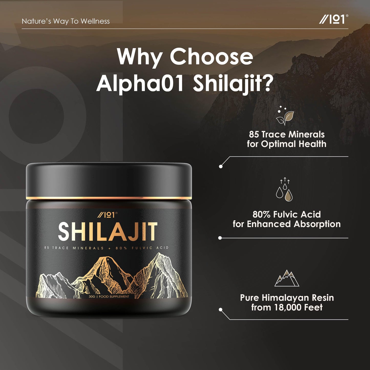 ALPHA01 Himalayan Shilajit Resin 30g – Gold Grade 100% Pure Gilgit-Baltistan Source – Rich in 80% Fulvic & Humic Acid, Minerals – by Alpha01