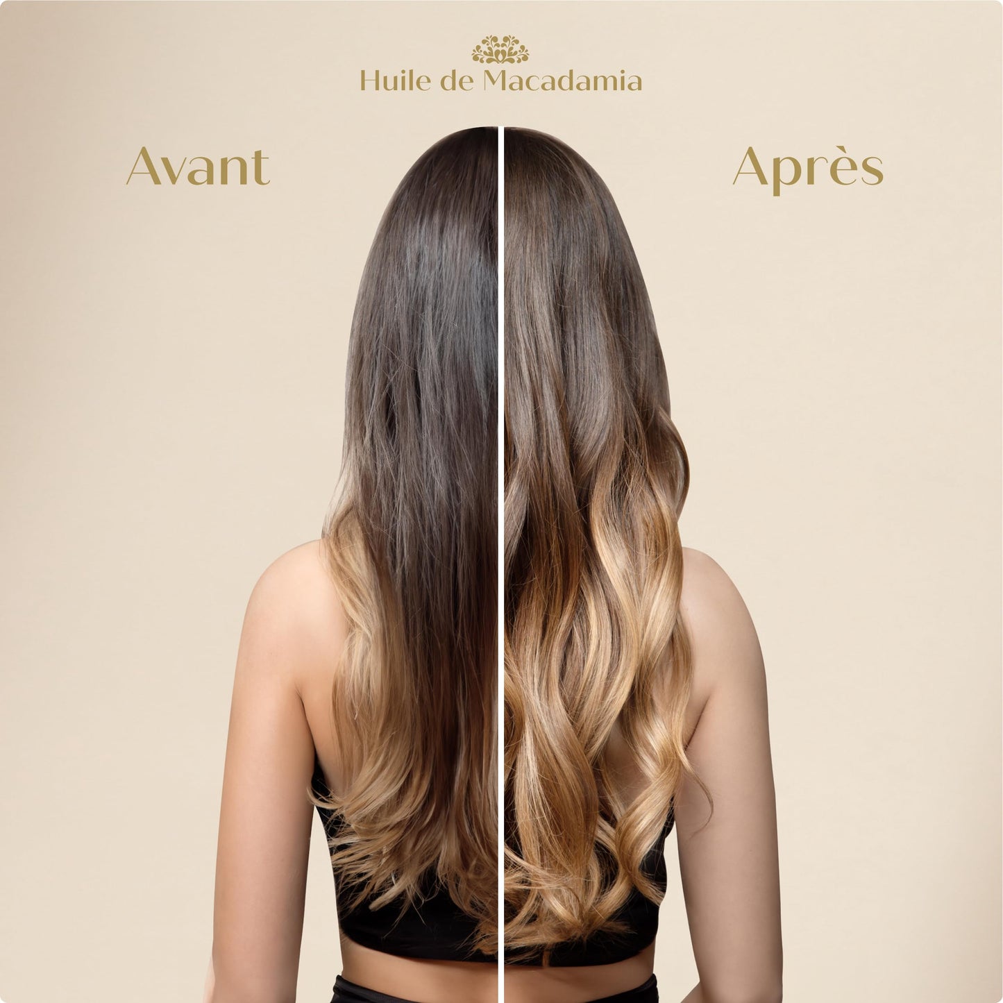 ARGANICARE Arganicare | Macadamia range | REPAIR SHAMPOO | With organic Macadamia oil | Cleans & Protects | Fight against split ends | High hydration | 400mL