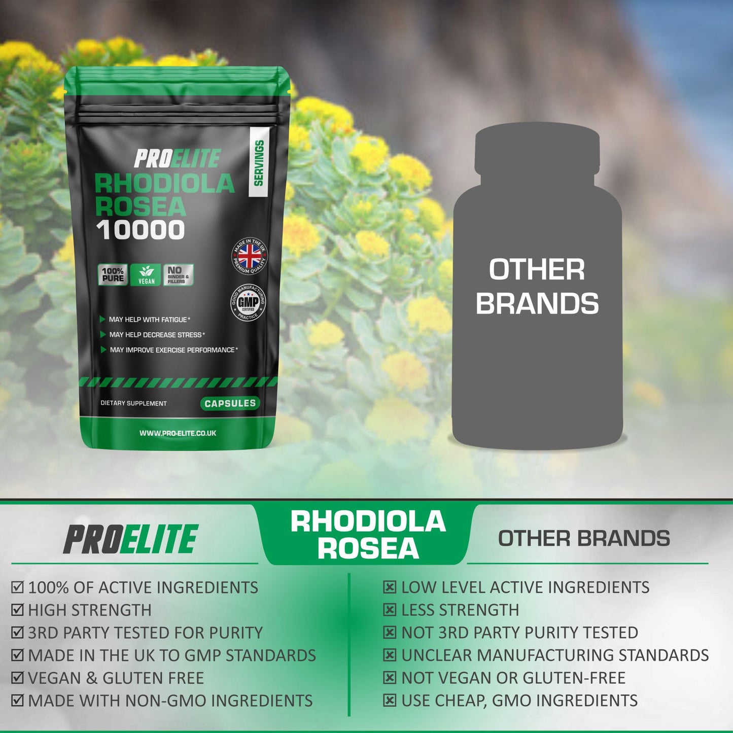 Rhodiola Rosea Extract 500mg 30 Vegan Capsules | 3% Standardised Rosavins 1% Salidrosid | Arctic Root Nootropic Adaptogen Supplement | Premium Rhodiola Root Extract | Made in UK by PROELITE