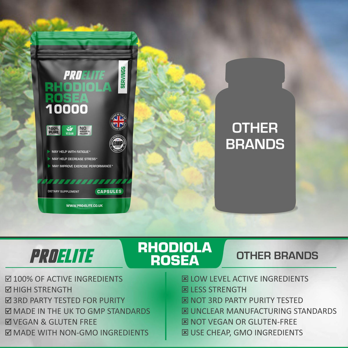 Rhodiola Rosea Extract 500mg 90 Vegan Capsules | 3% Standardised Rosavins 1% Salidrosid | Arctic Root Nootropic Adaptogen Supplement | Premium Rhodiola Root Extract | Made in UK by PROELITE