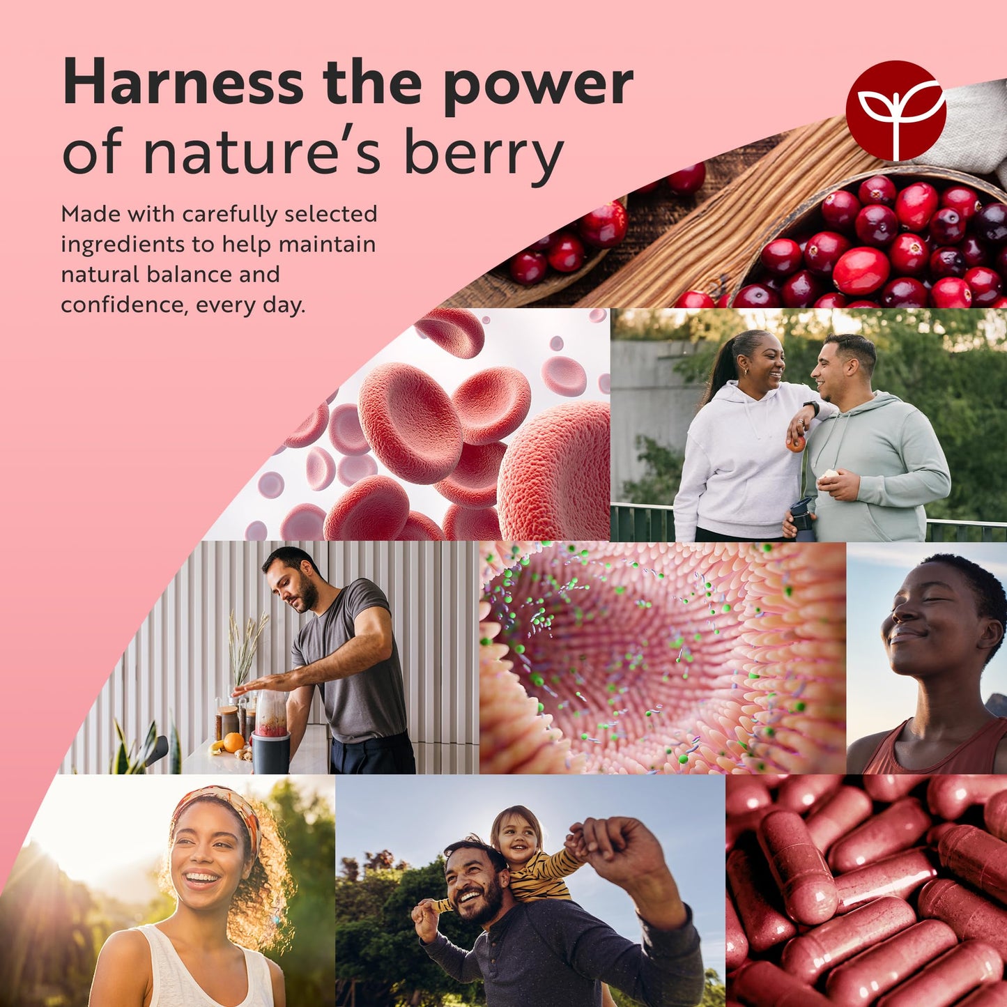 Nutravita Max Strength Cranberry 37,500mg - 180 Vegan Capsules – Daily Supplement for Women – 50:1 Pure Cranberry Extract Supplement – Made in The UK