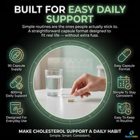 NutriVolv Plant Sterols 800mg Vegan Healthcare Supplements for Heart, Maintains Cholesterol Level and Effectively Boosts Immunity - 90 Capsules