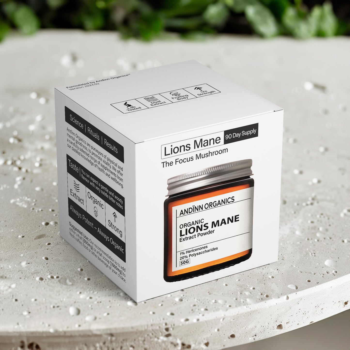 Andinn Organics Organic Lions Mane Mushroom Powder | 12X Strength | 3 Month Supply | Dual Extract Powder 23:1 | 6000mg | NGF | 1% Hericenones | 20% Polysaccharides