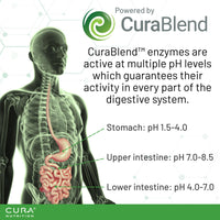Cura Nutrition CURA NUTRITION CURAZYME Vital (90 Capsules) Digestive Enzymes Supplement for Gut Health Support, Basic Digest Formula for Bloating, Heartburn, Digestion Relief, Ideal for Sensitive Stomachs, Vegan