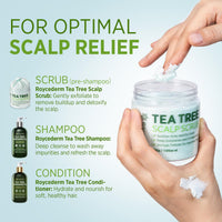 Roycederm Tea Tree Scalp Scrub: Soothing Hair & Scalp Care for Itchy, Dry, Flaky Scalp & Dandruff | Exfoliating & Hydrating with Tea Tree Oil for Women & Men