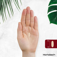 Horbäach Rosehip Tablets 10,000mg | 120 Count | High Strength 20:1 Naturally Sourced Rosa Canina Extract | Suitable for Vegans | By Horbaach