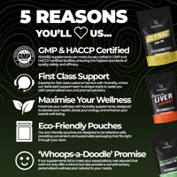 Nutrality Akkermansia Supplement | 30 Capsules with 30 Billion AFU | Resistant Starch for Gut Health | Freeze-Dried for Freshness | Delayed Release for Optimal Absorption | Probiotic Support