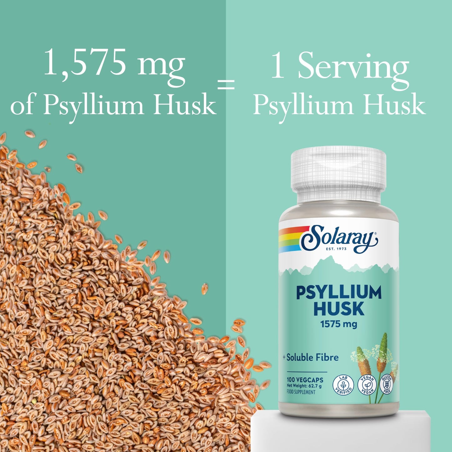 SOLARAY Psyllium Husk - 100 Vegan Capsules not Powder - Fibre Supplement - Natural Soluble Fiber from Plantago Ovata - High Strength Physillan Husk - Lab Verified - Solaray