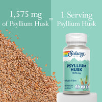 SOLARAY Psyllium Husk - 100 Vegan Capsules not Powder - Fibre Supplement - Natural Soluble Fiber from Plantago Ovata - High Strength Physillan Husk - Lab Verified - Solaray