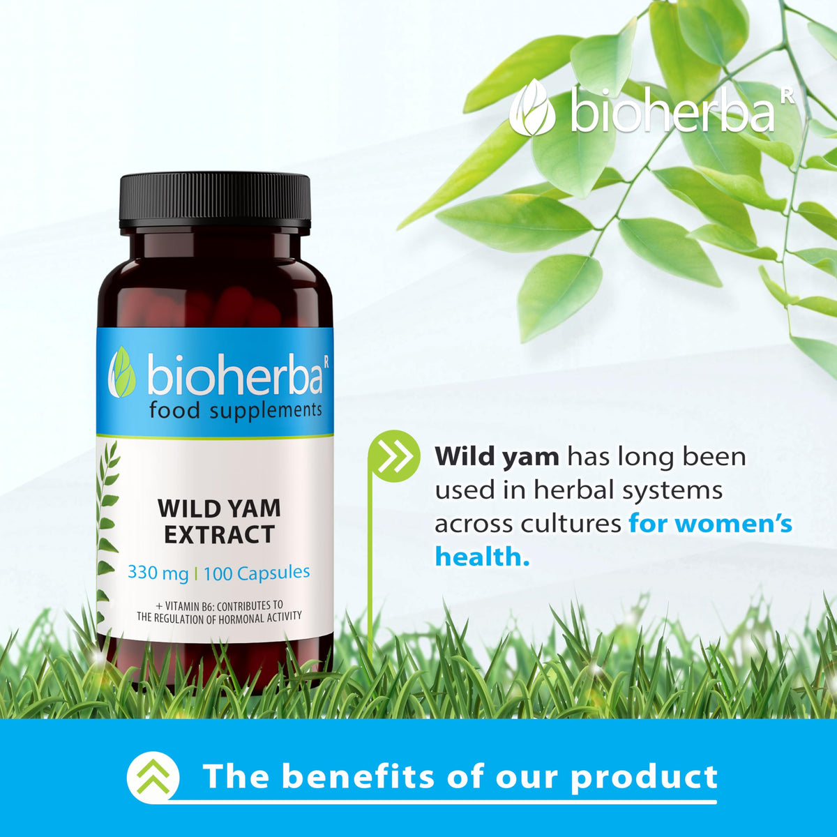 Wild Yam 330 mg – 100 Capsules | Traditional Herbal Supplement for Women’s Wellness and Monthly Balance by BIOHERBA