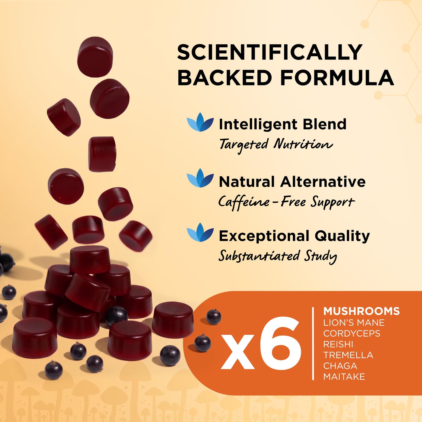 Physis Mushroom Gummies +Vitamin Complex | Attention On Mushroom Blend | Alertness Cognition Memory | Lions Mane Cordyceps Reishi Maitake Tremella Ginseng Iodine Vit B5 | 60 x Vegan Juicy Blackcurrant
