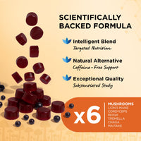 Physis Mushroom Gummies +Vitamin Complex | Attention On Mushroom Blend | Alertness Cognition Memory | Lions Mane Cordyceps Reishi Maitake Tremella Ginseng Iodine Vit B5 | 60 x Vegan Juicy Blackcurrant