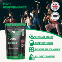Rhodiola Rosea Extract 500mg 30 Vegan Capsules | 3% Standardised Rosavins 1% Salidrosid | Arctic Root Nootropic Adaptogen Supplement | Premium Rhodiola Root Extract | Made in UK by PROELITE