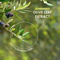 ALPHA01 Organic Olive Leaf Extract 7500mg – Standardised 20% Oleuropein – 60 Vegan Capsules (2 Months Supply) – Resealable and Recyclable Pouch by Alpha01
