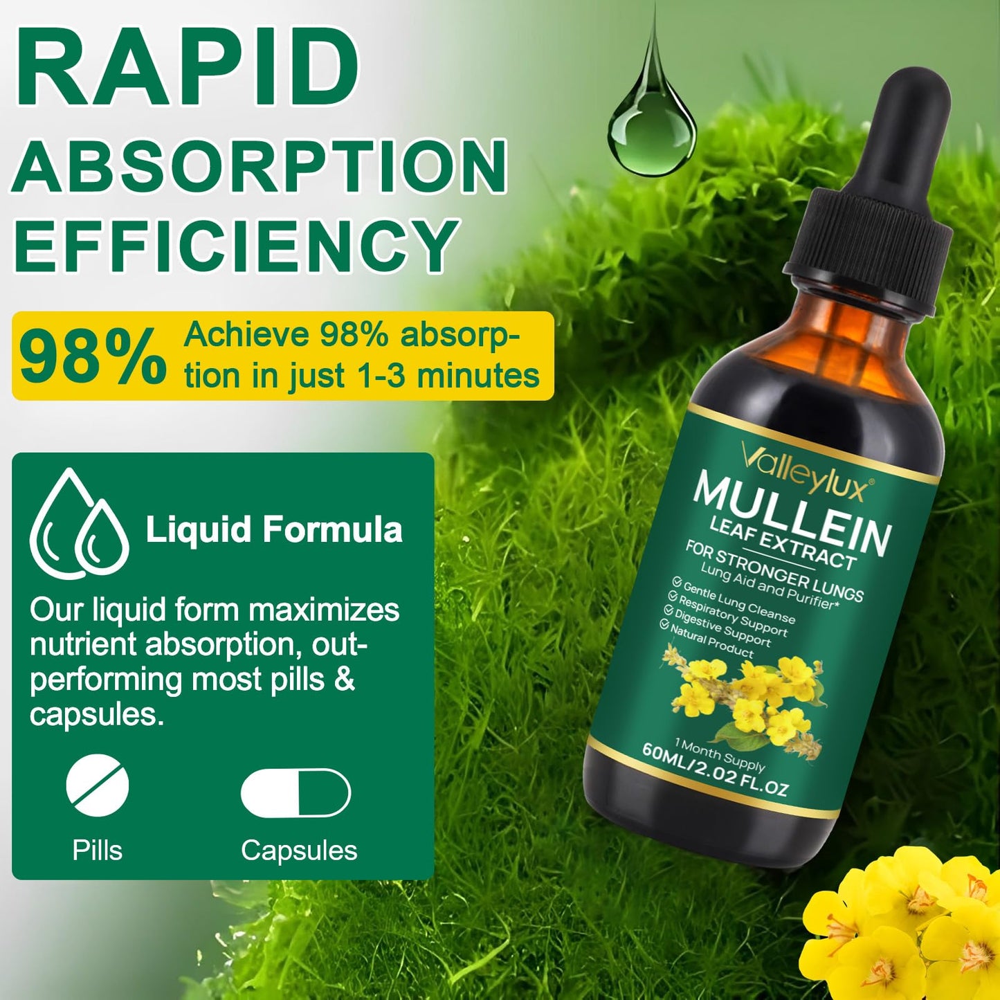 Bibonse Mullein Leaf Extract for Lung, Mullein Drops, Mullein Leaf Liquid Drops, Mullein Extract with Chlorophyll for Lung Cleanse, Premium Health Supplement Drops for Fast Absorption, Alcohol-Free, 60ml