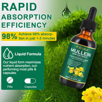 Bibonse Mullein Leaf Extract for Lung, Mullein Drops, Mullein Leaf Liquid Drops, Mullein Extract with Chlorophyll for Lung Cleanse, Premium Health Supplement Drops for Fast Absorption, Alcohol-Free, 60ml