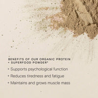 Wild Nutrition WILD NUTRITION Food-Grown® Vegan Protein Powder Super Food Blend | Organic Ingredients No Synthetics | Pea Protein, Sprirulina, Reishi, Chaga, Wheatgrass & More | Gluten Free