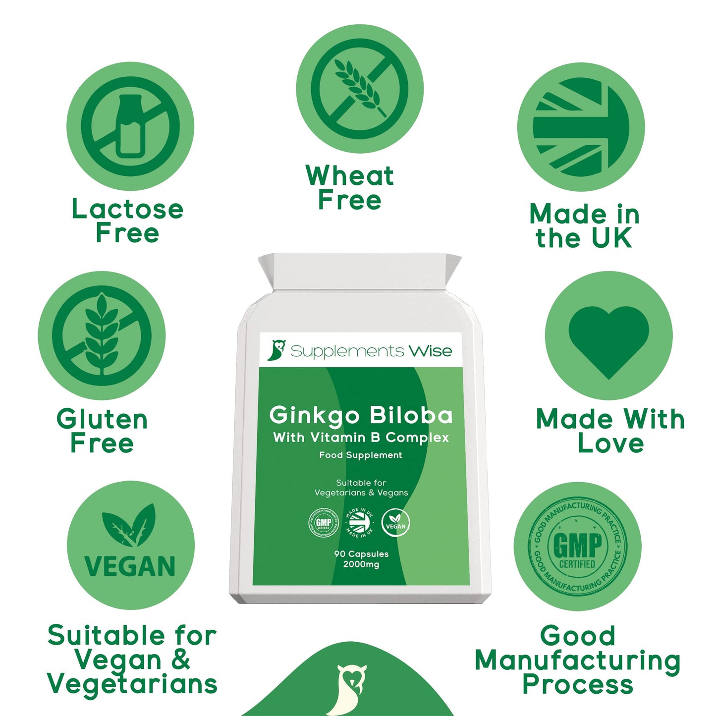 Supplements Wise Ginkgo Biloba Capsules 90 x 2000mg - Dizziness and Vertigo Treatment - Focus Tablets, Concentration Pills for Brain, Memory - Blood Circulation -Ginkgo Biloba Herbal Supplements with Vitamin B Complex