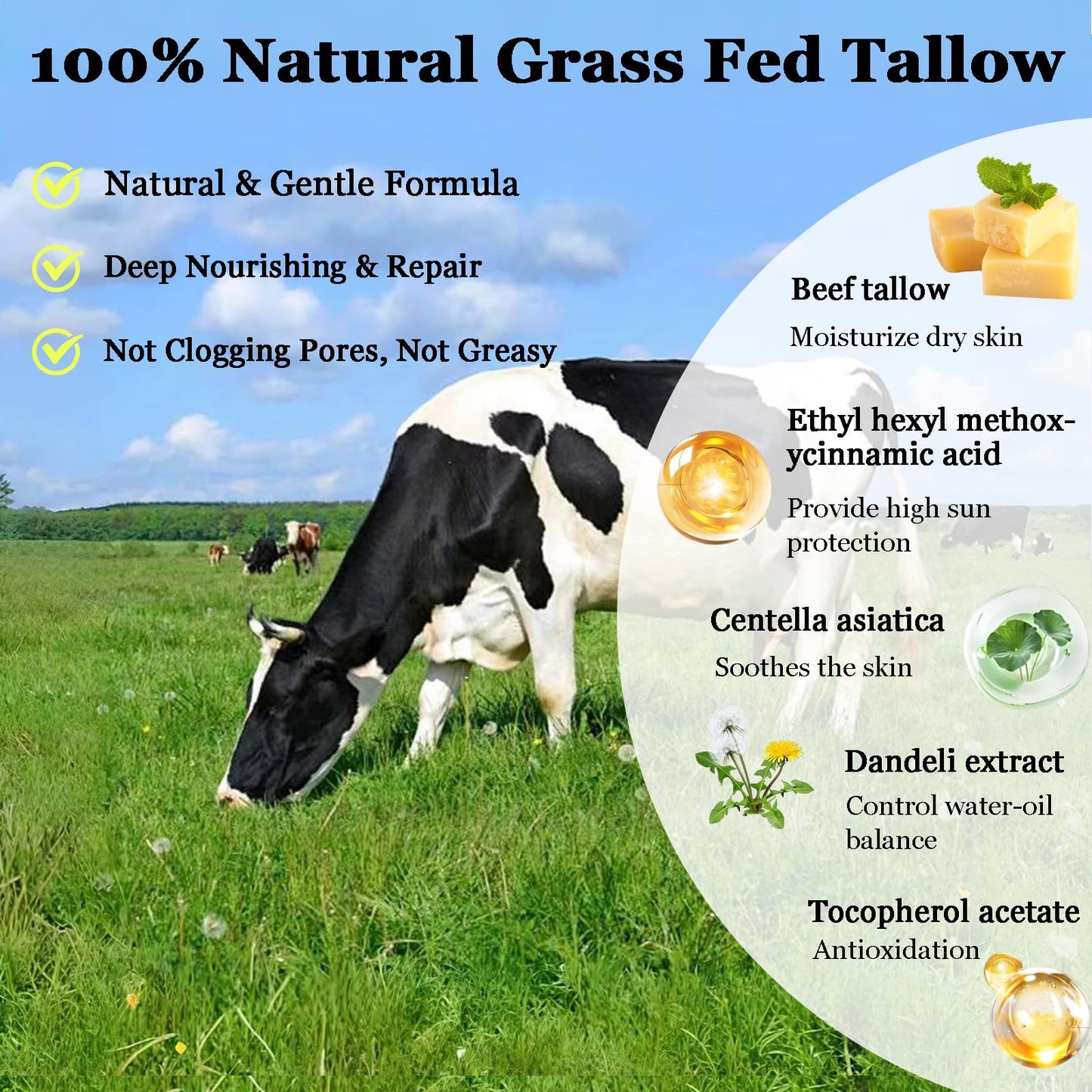 Beef Tallow Sunscreen Spf 50 - Organic Sun Cream 100% Grass-Fed Tallow - Instant Sun Protection Cream For Face & Body - Lightweight Moisturizing Sun Screen For Women, Men Ourdoor Daily Defence