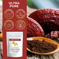 Addictive Wellness Reishi Mushroom Extract Powder + Spores (50/50 Blend) Wood Grown Pure & Potent Wildcrafted Ganoderma (100 Grams)