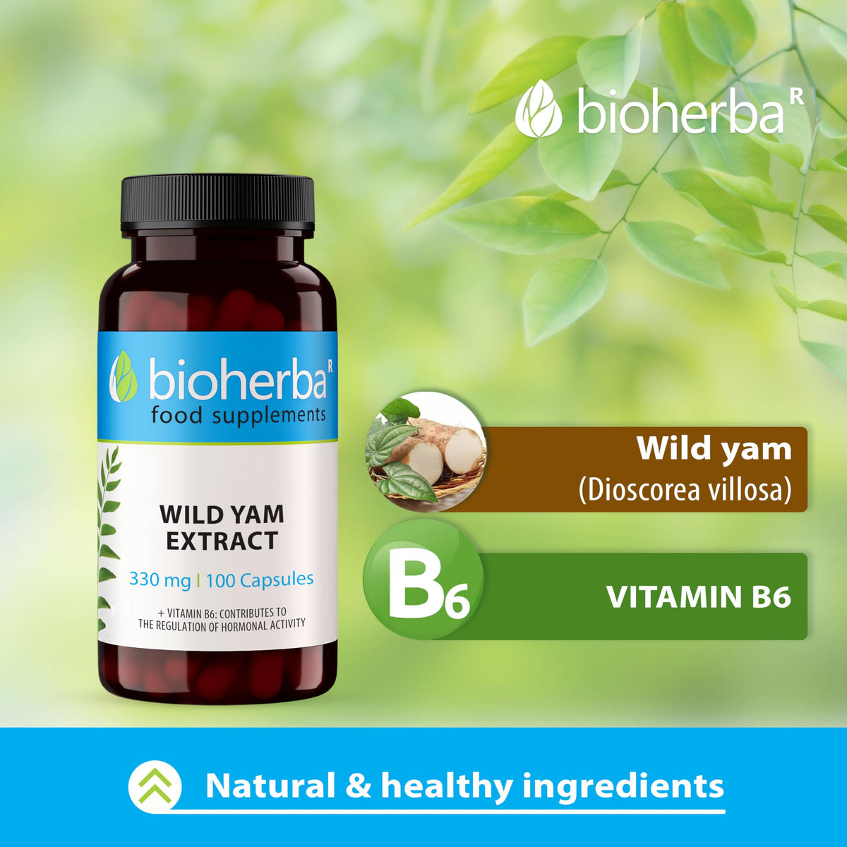Wild Yam 330 mg – 100 Capsules | Traditional Herbal Supplement for Women’s Wellness and Monthly Balance by BIOHERBA