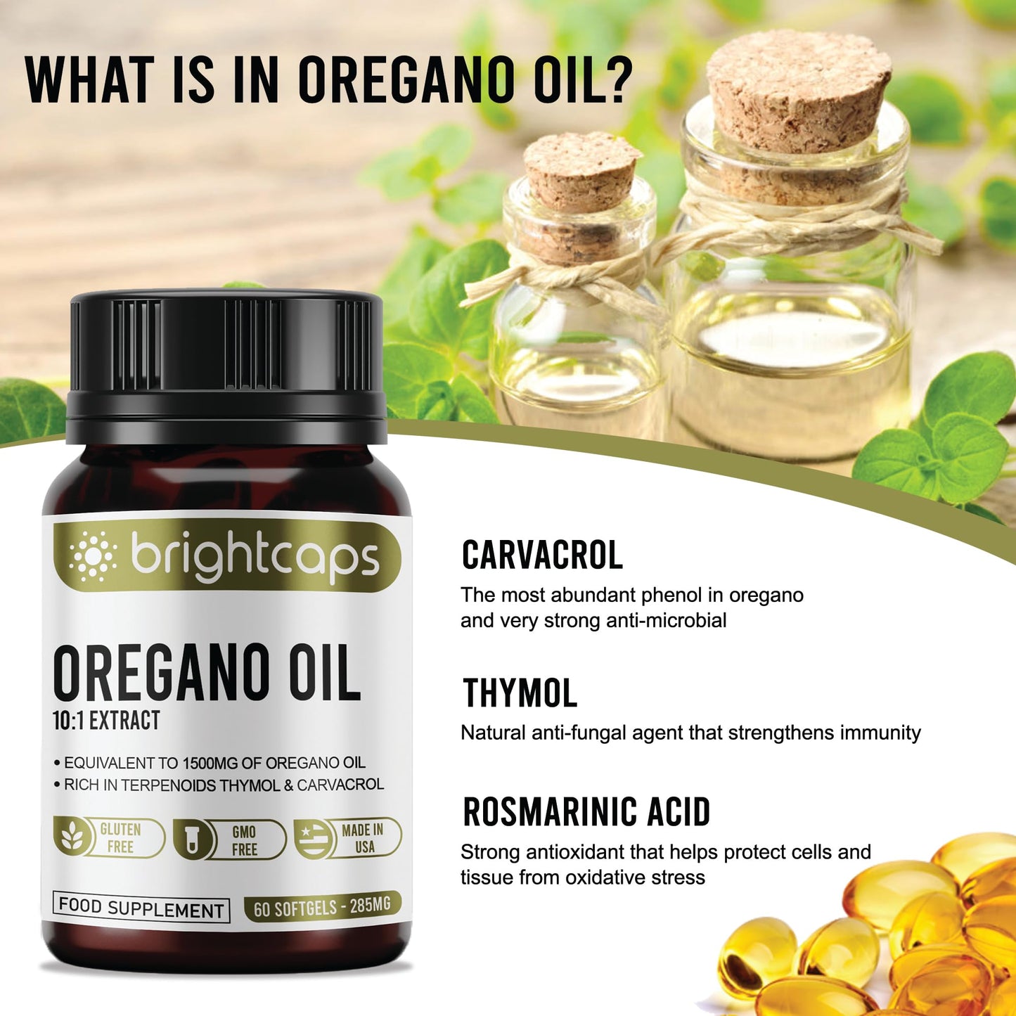 Wild Oregano Oil - Extract 10:1 Equivalent to 1500mg - High in Carvacrol & Thymol - 60 Softgels