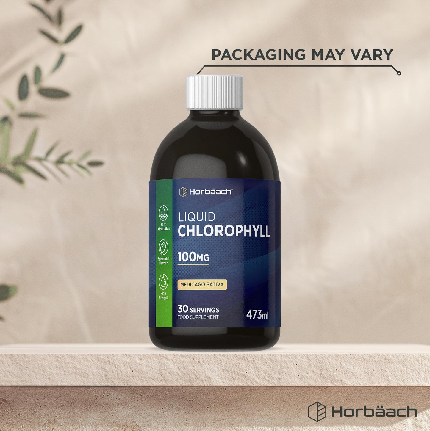 Horbäach Liquid Chlorophyll Drops for Water | 3100mg Per Bottle | 473ml | Vegan Supplement | Mint Flavour | by Horbaach