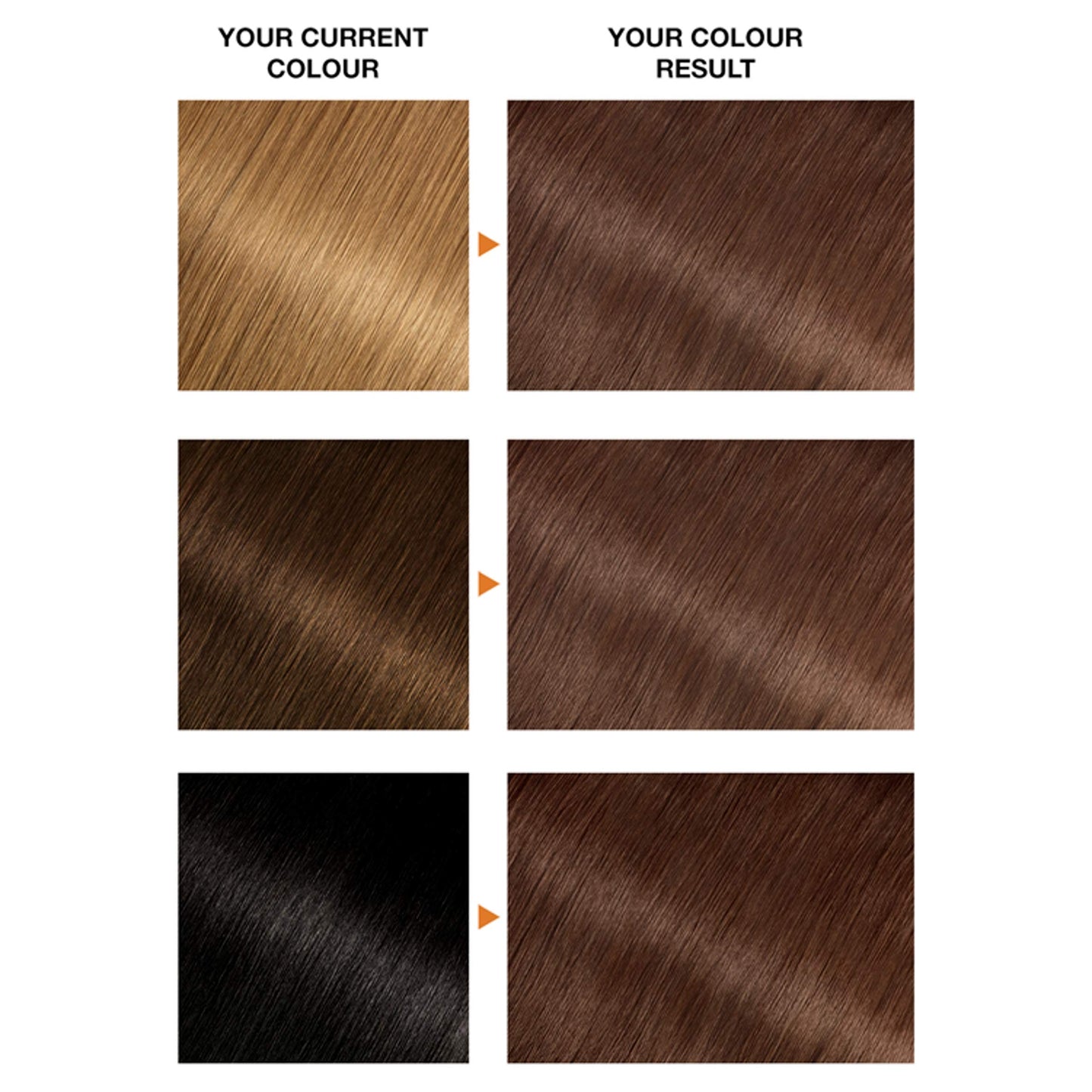 Garnier Belle Color Brown Hair Dye Permanent, Natural looking Hair Colour Up to 100 Percent grey coverage - 6 Light Brown, Pack of 3