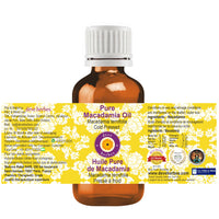 Deve Herbes Pure Macadamia Oil (Macadamia ternifolia) Non-Sticky | Non-Greasy | For Skin, Hair, Massage & DIY Use 100ml X 3
