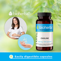 Choline 350 mg – 100 Capsules by BIOHERBA | Nutrient for Lipid Metabolism and Cellular Function